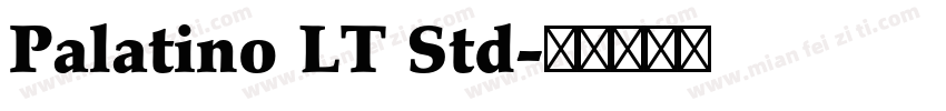 Palatino LT Std字体转换